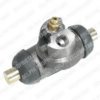 DELPHI LW50059 Wheel Brake Cylinder